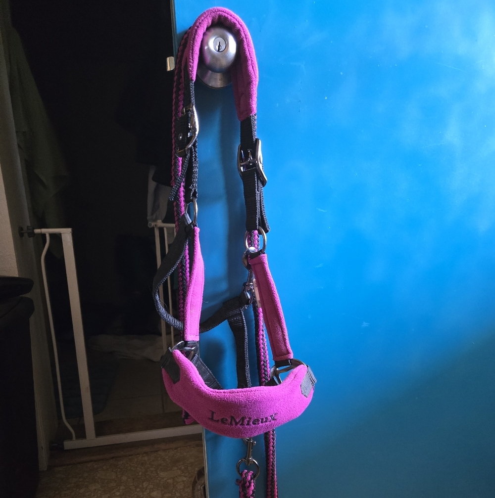 Lemieux Halter In Discontinued "Plum"
